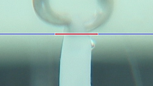 EPAの効果を検証1