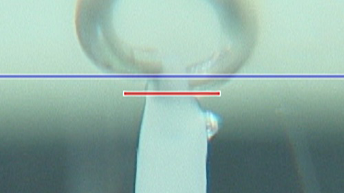 EPAの効果を検証2