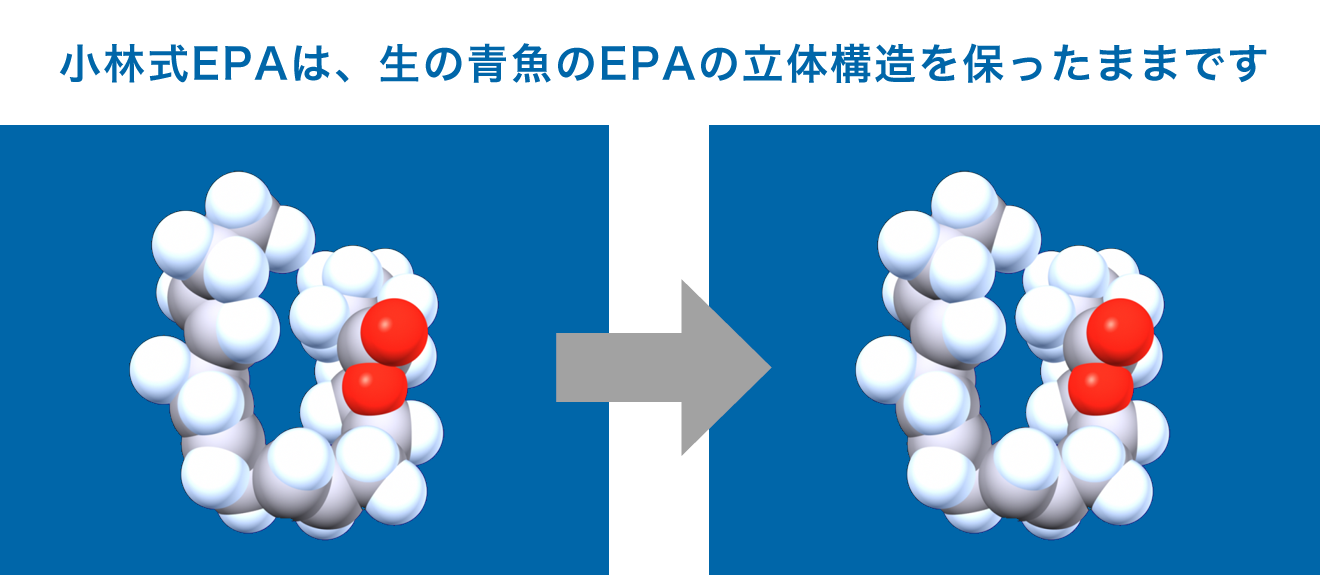 小林式EPAは、生の青魚のEPAの立体構造を保ったままです