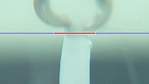 EPAの効果を検証3