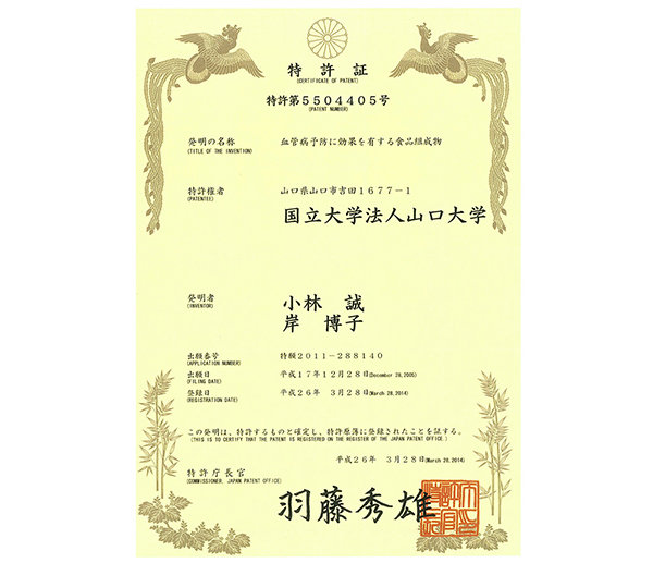 EPAの吸収力を向上させる開発による特許証